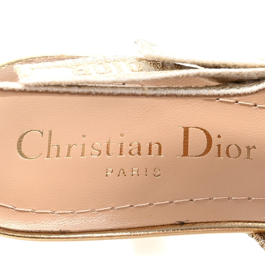 TRANSPARENT METALLIC EMBROIDERED MESH MACRAME CONSTANTINE EMBROIDERED J'ADIOR SLINGBACK 65MM PUMPS PALE GOLD
