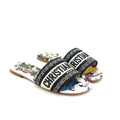 DIOR DWAY SLIDE MULTICOLOUR