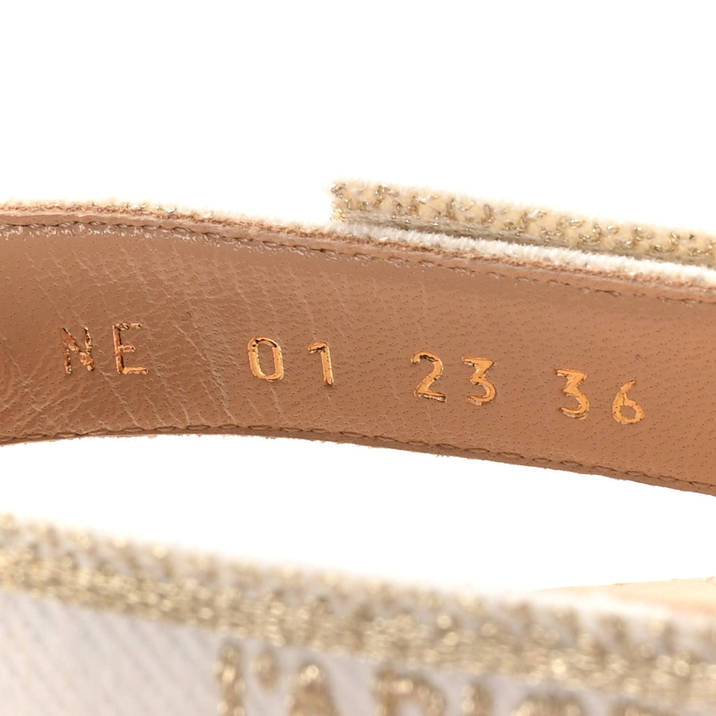 TRANSPARENT METALLIC EMBROIDERED MESH MACRAME CONSTANTINE EMBROIDERED J'ADIOR SLINGBACK 65MM PUMPS PALE GOLD