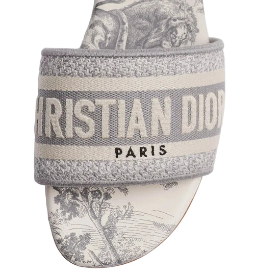 DIOR DWAY SLIDE GRAY