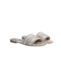 DIOR DWAY SLIDE GRAY